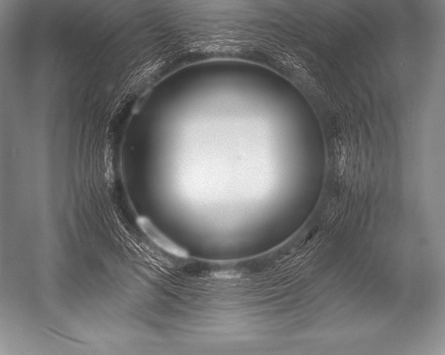 X0000052990692200507221221
