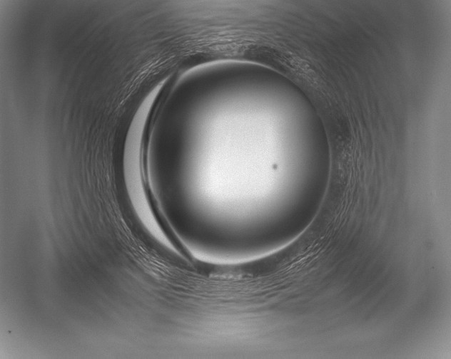 X0000052990693200507221221