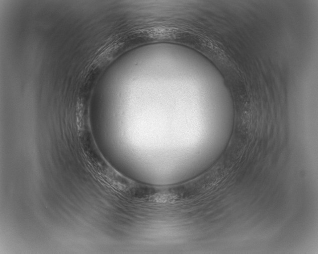 X0000052990696200507221221