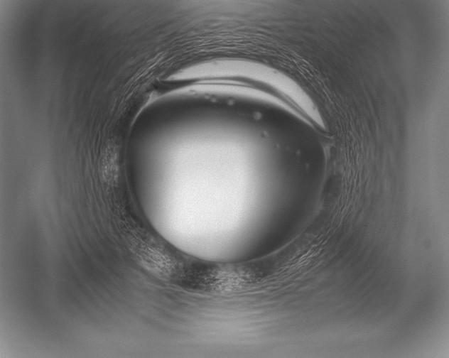 X0000052990697200507221221