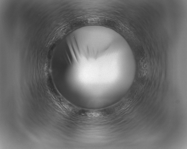 X0000052990698200507221221