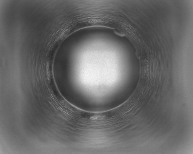 X0000052990700200507221221