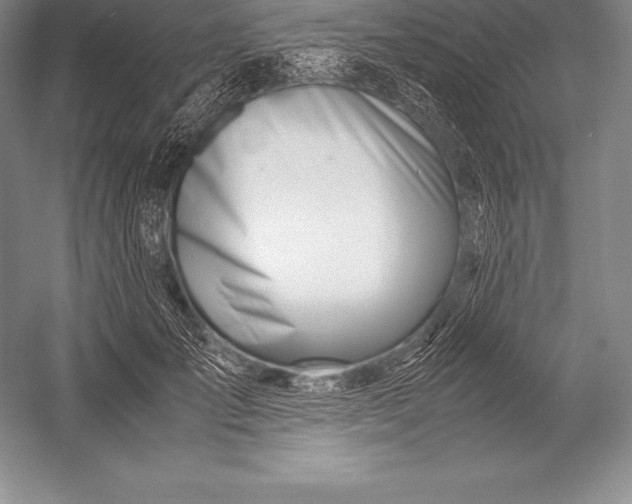 X0000052990701200507221221
