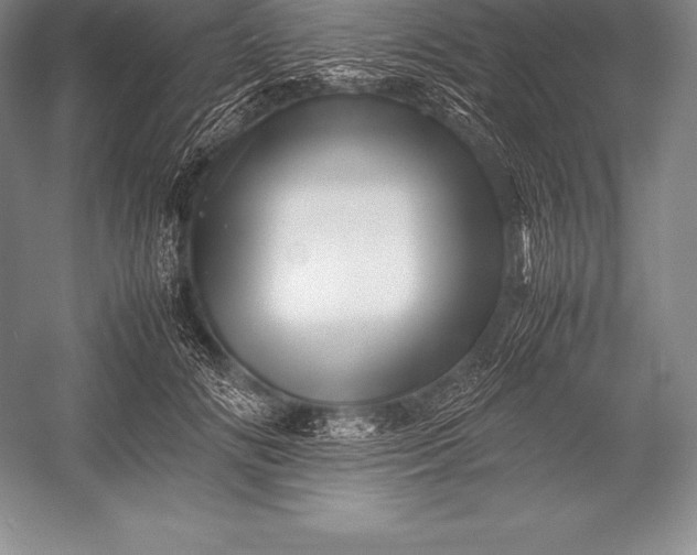 X0000052990702200507221221