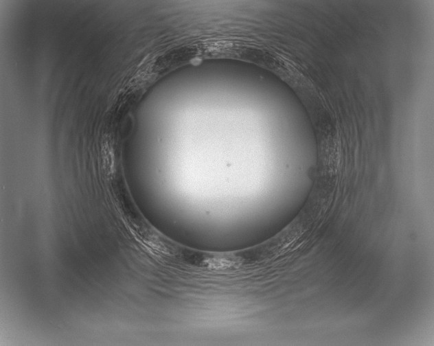 X0000052990703200507221221