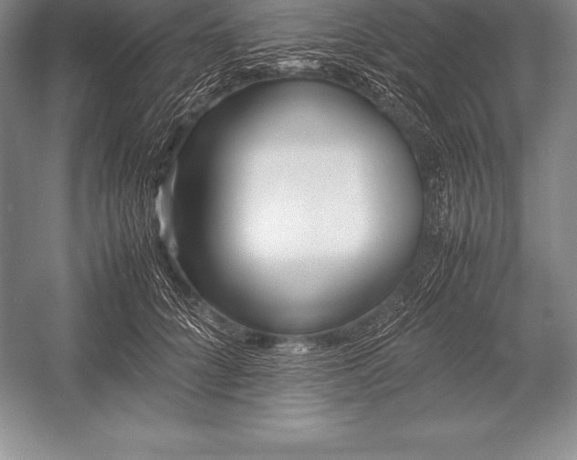 X0000052990704200507221221