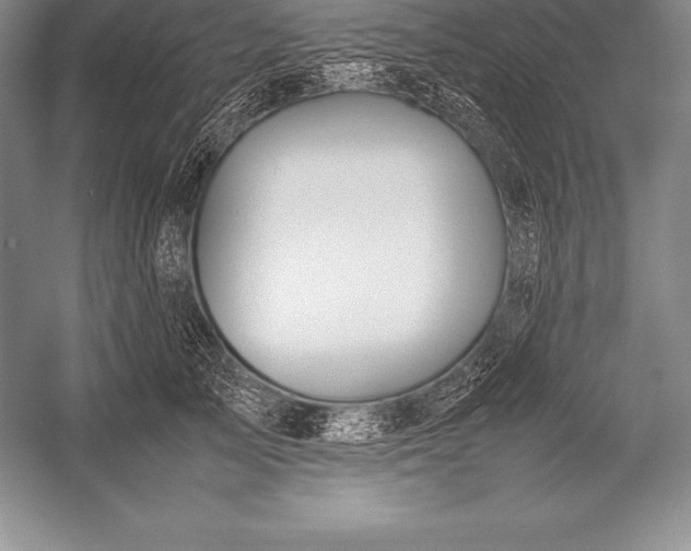 X0000052990705200507221221