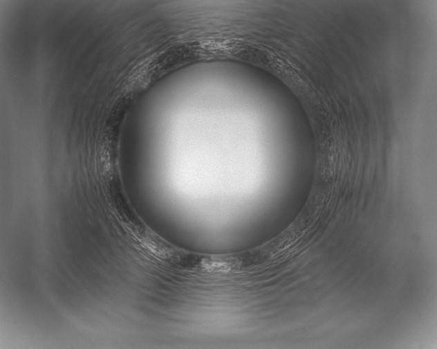 X0000052990706200507221221