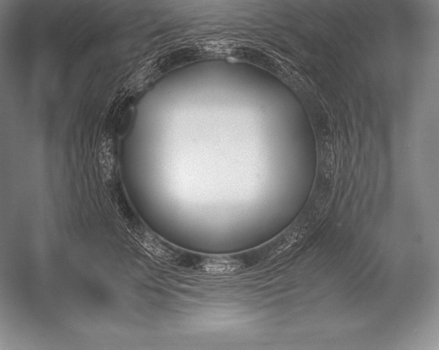 X0000052990707200507221221