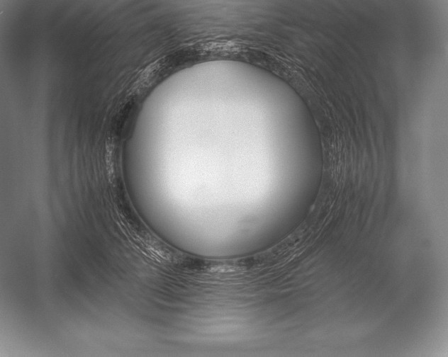 X0000052990708200507221221