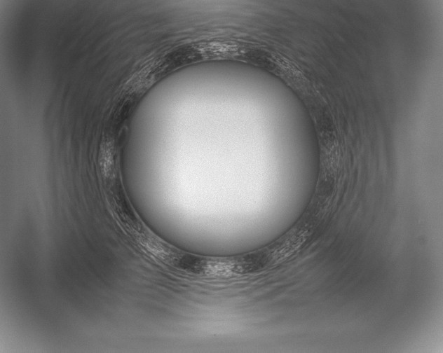 X0000052990709200507221221