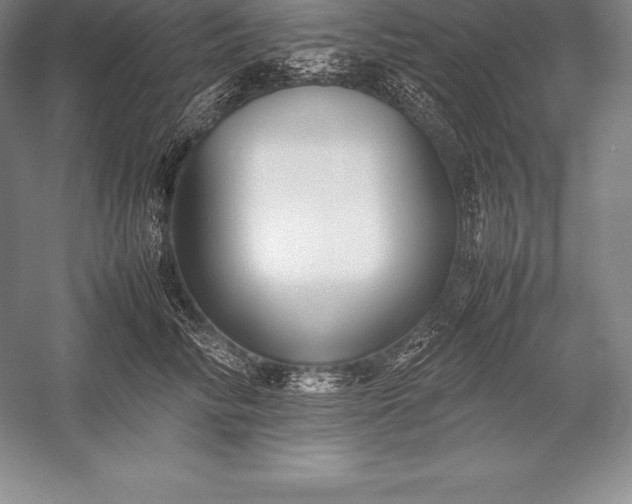 X0000052990710200507221221