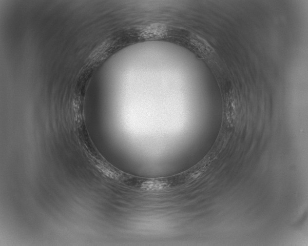 X0000052990714200507221221