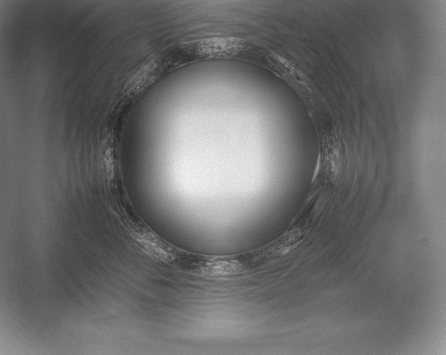 X0000052990716200507221221