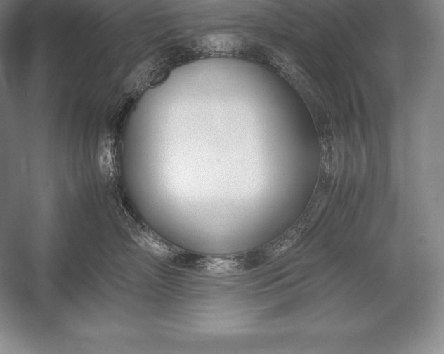 X0000052990718200507221221