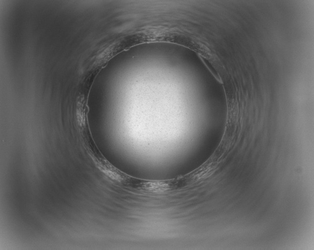 X0000052990719200507221221