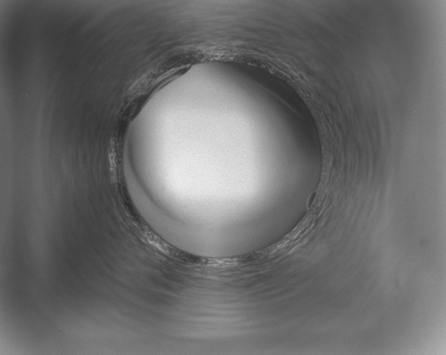 X0000052990720200507221221