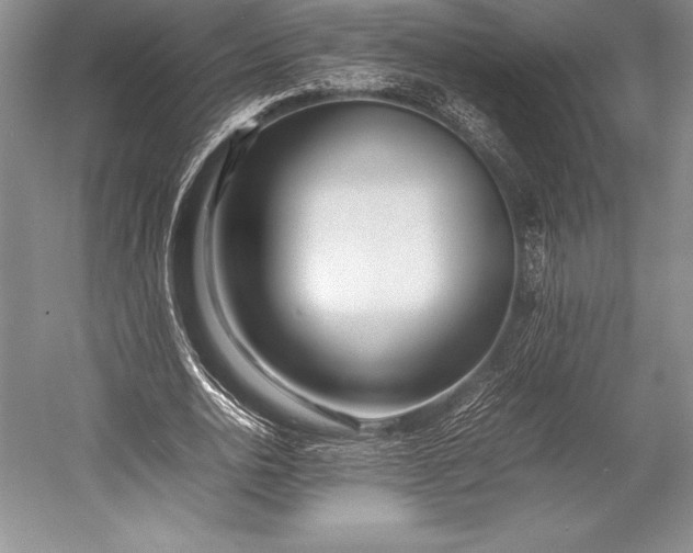 X0000052990726200507221220