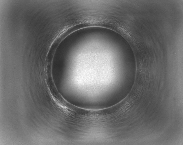 X0000052990730200507221220