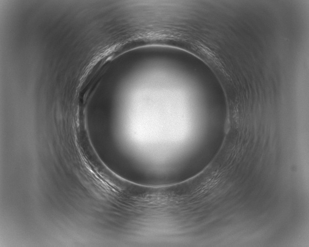 X0000052990732200507221220