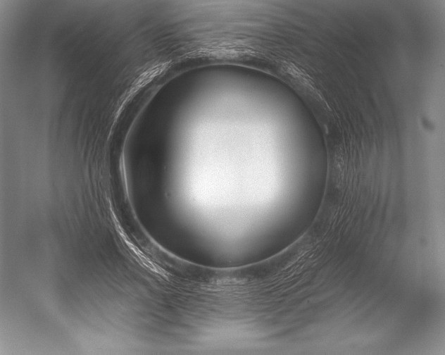 X0000052990734200507221220