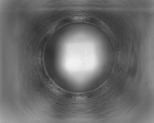 X0000052990737200507221220