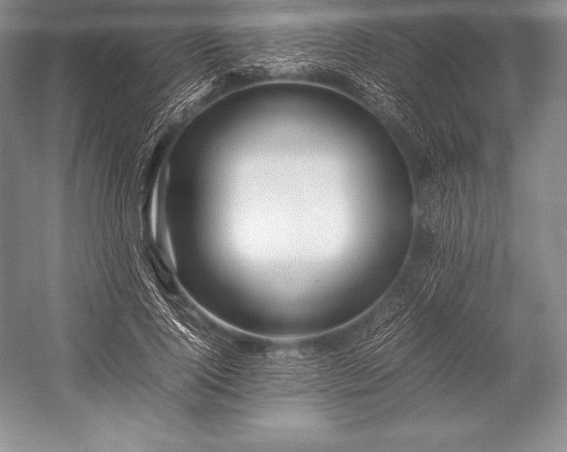 X0000052990740200507221220