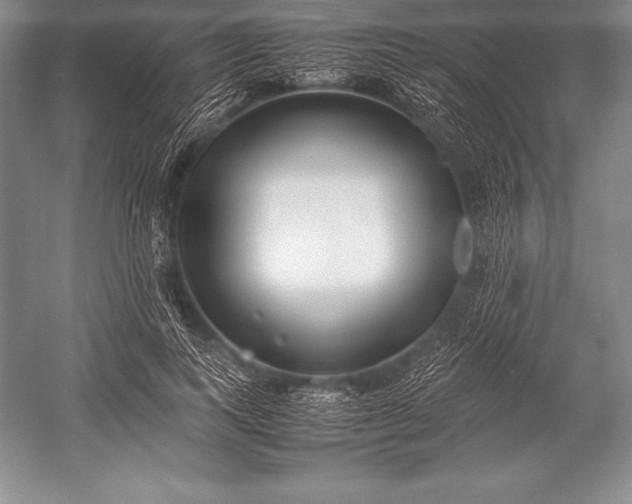 X0000052990743200507221220