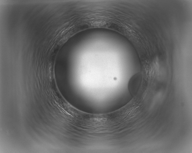 X0000052990745200507221220