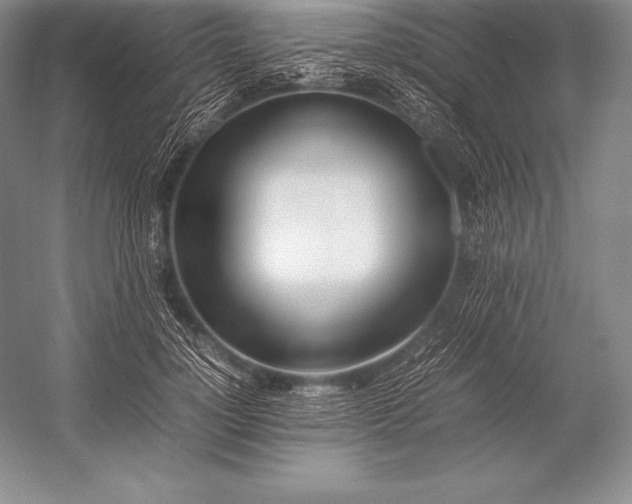 X0000052990748200507221220