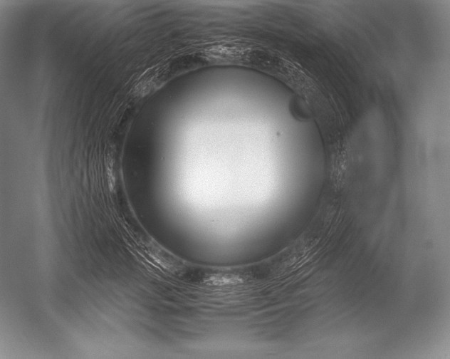 X0000052990749200507221220