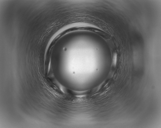 X0000052990750200507221220