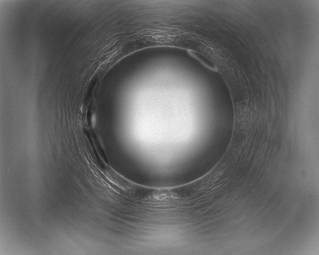 X0000052990752200507221220