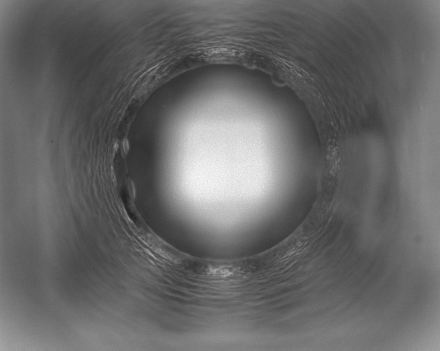 X0000052990753200507221220