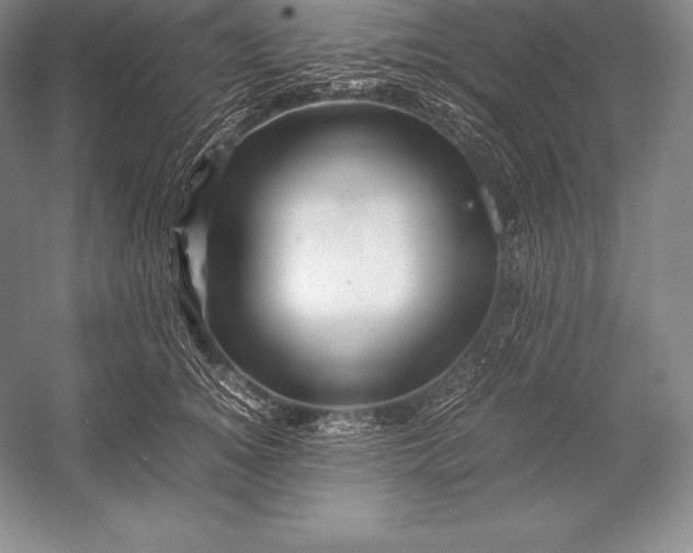 X0000052990756200507221220