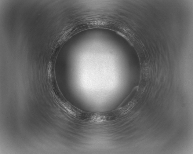 X0000052990760200507221220