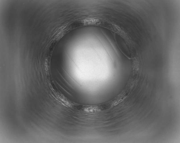 X0000052990761200507221220
