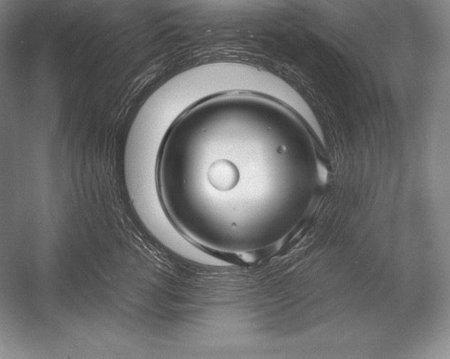 X0000052990762200507221220
