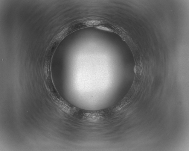 X0000052990763200507221220