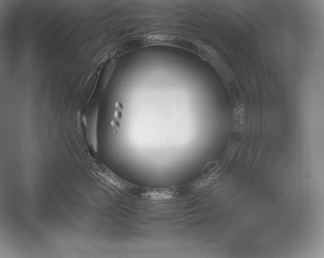 X0000052990765200507221220