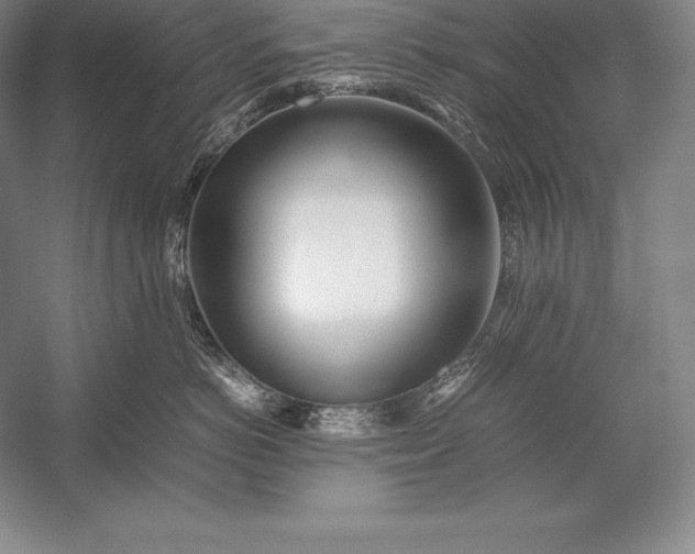 X0000052990766200507221220