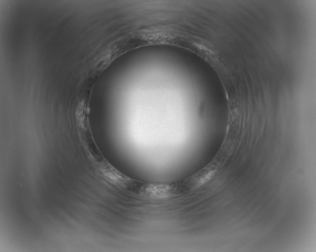 X0000052990767200507221220
