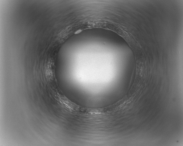X0000052990770200507221220
