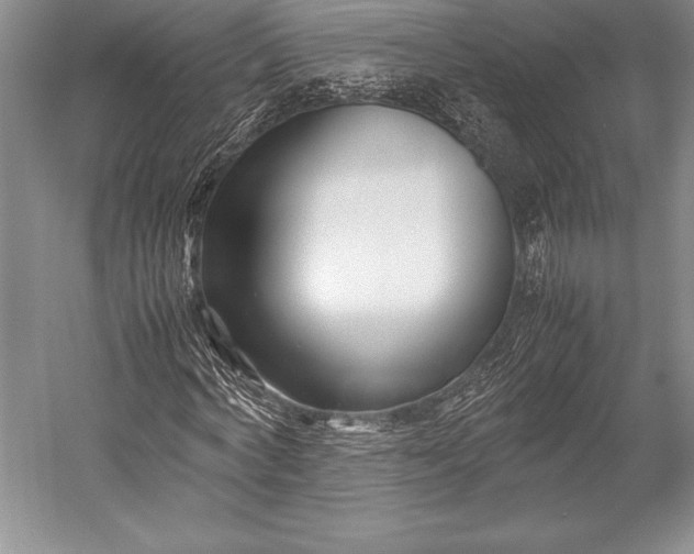 X0000052990772200507221220