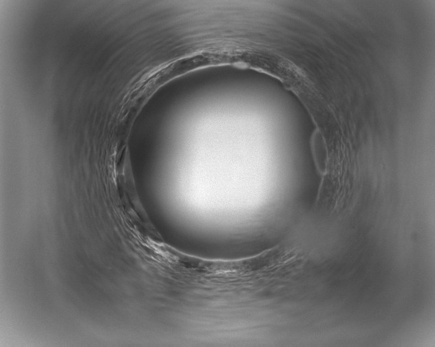 X0000052990773200507221220