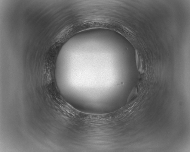 X0000052990774200507221220