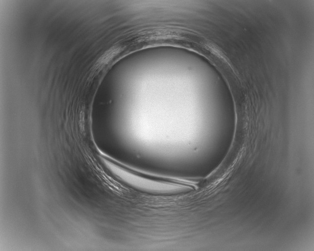 X0000052990777200507221220