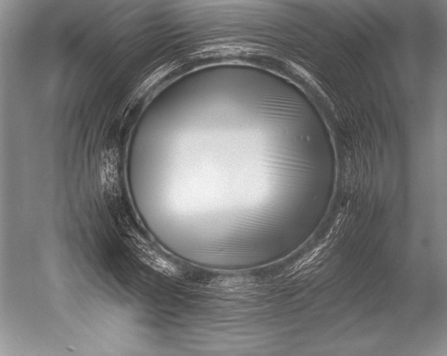 X0000052990778200507221219