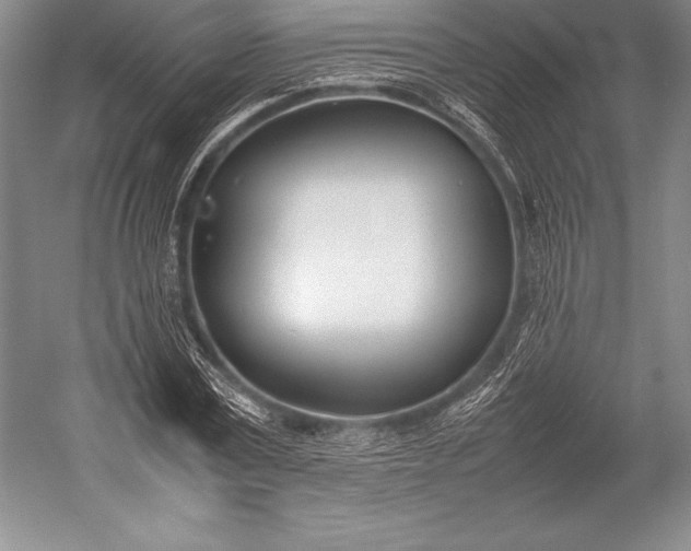 X0000052990779200507221219