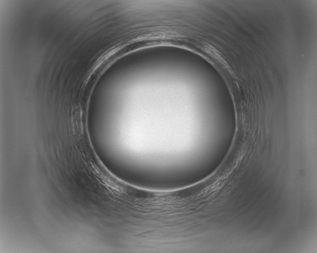 X0000052990781200507221219